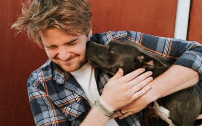 Pet Care When You Go On Holiday