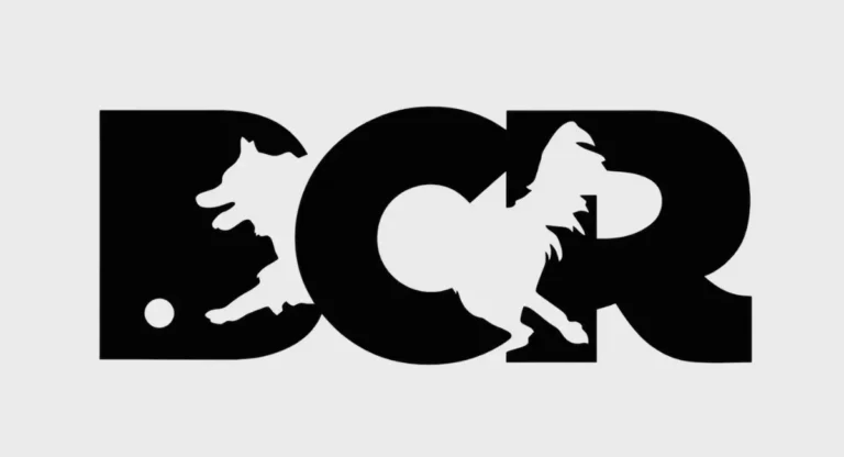 Border Collie Rescue South Africa Featured Logo 768x416