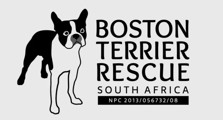 Boston Terrier Rescue SA Featured Logo 768x416