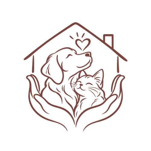 Explore Local Shelters And Rescue Organisations Icon