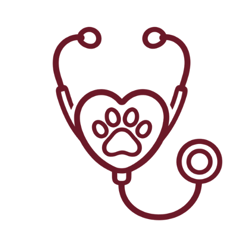 Icon For Veterinary Services